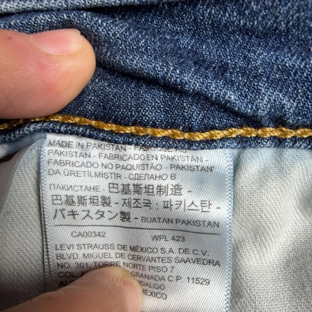 Levis levis 559